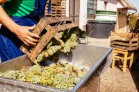 Food safety: the complete guide from farm to table